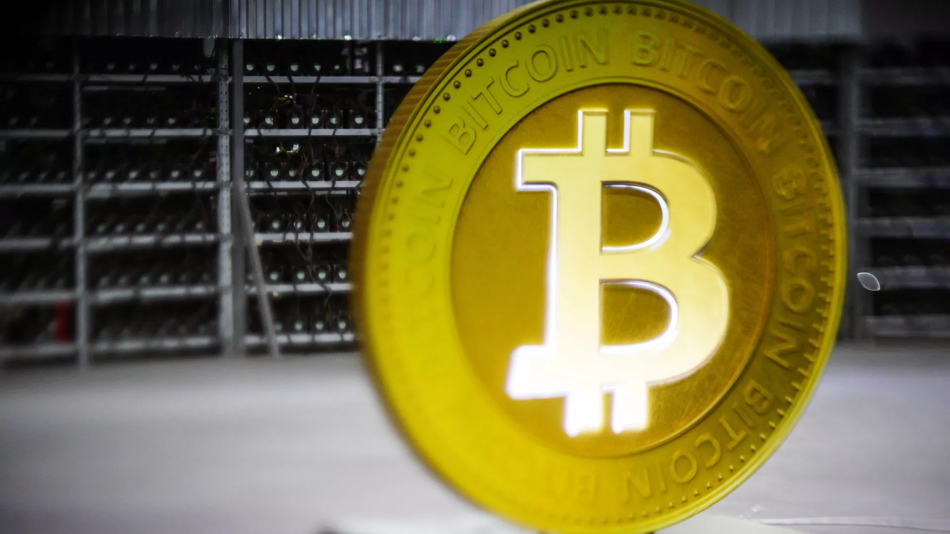 Жаңалықтар