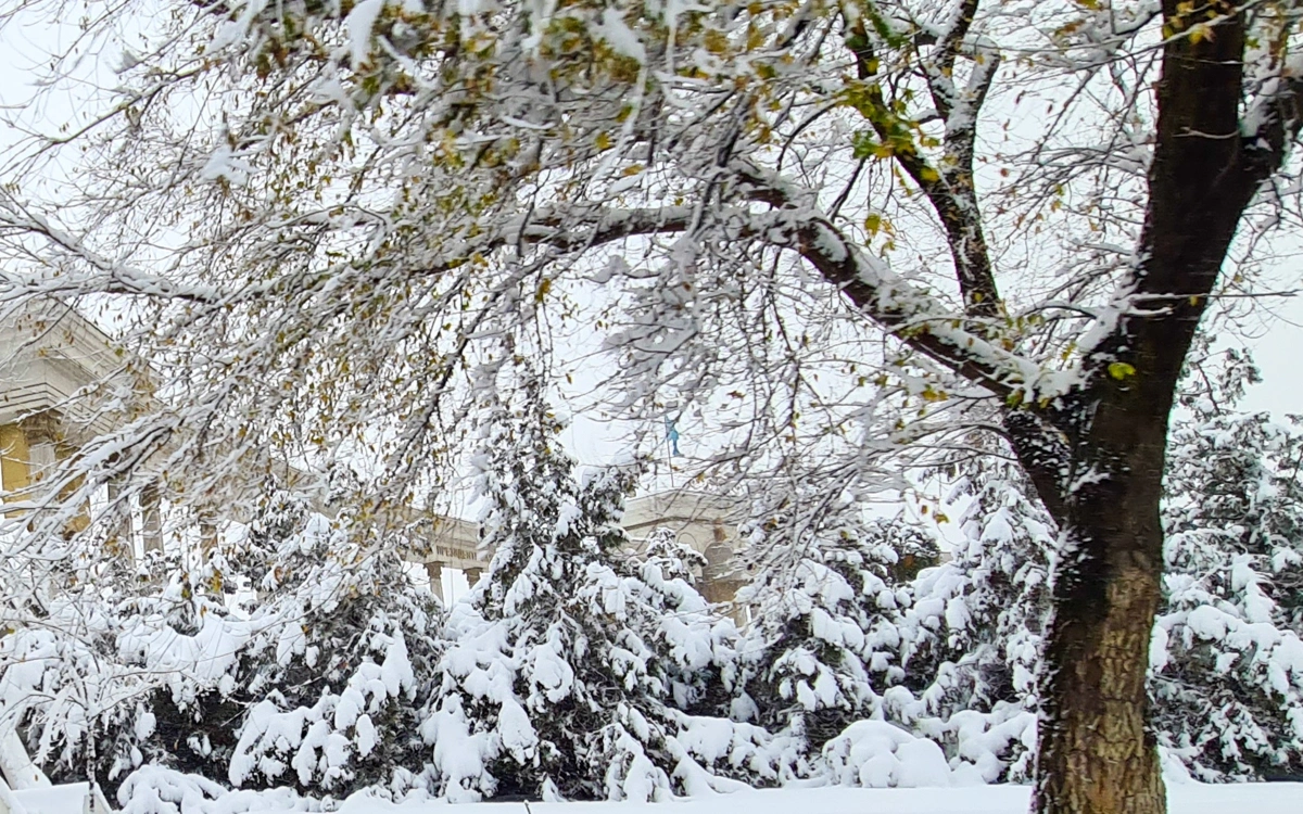 Жаңалықтар