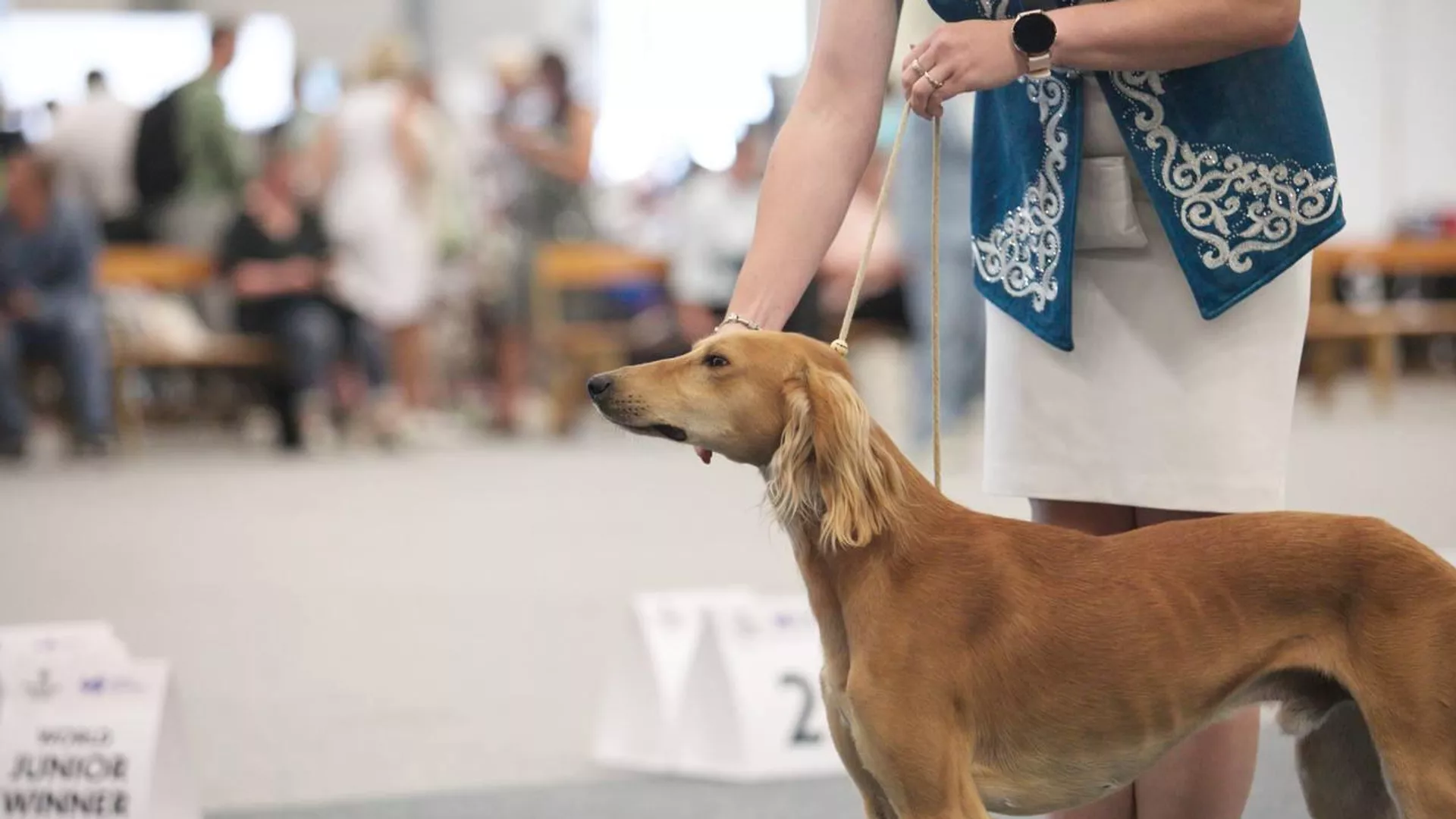 жаңалықтар