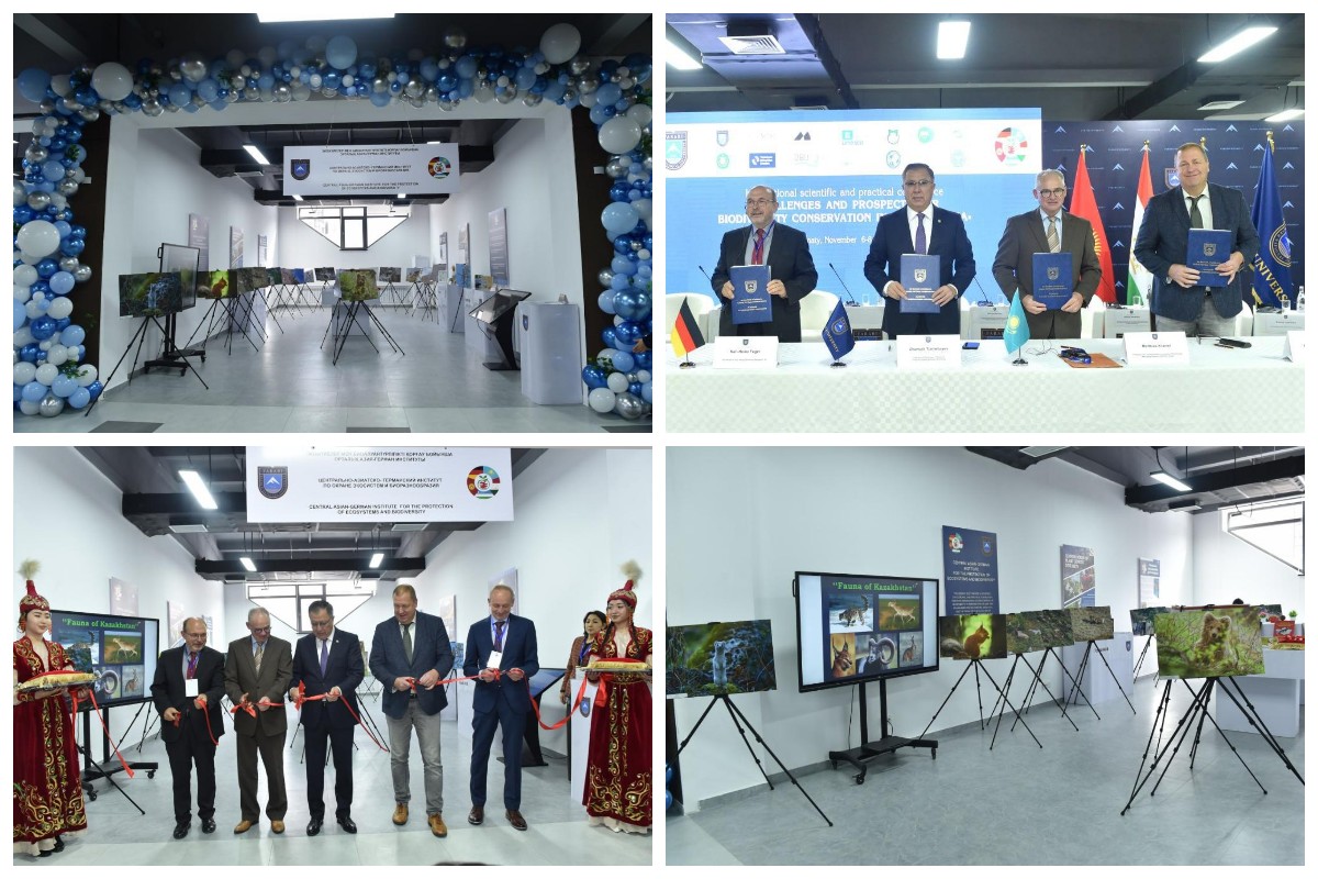 Жаңалықтар