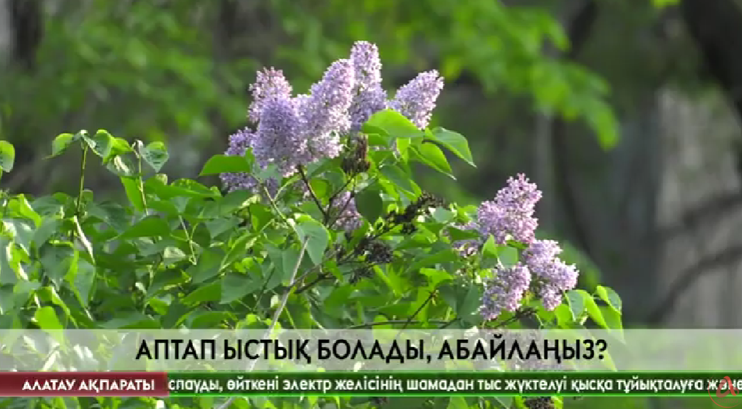Алатау ақпараты