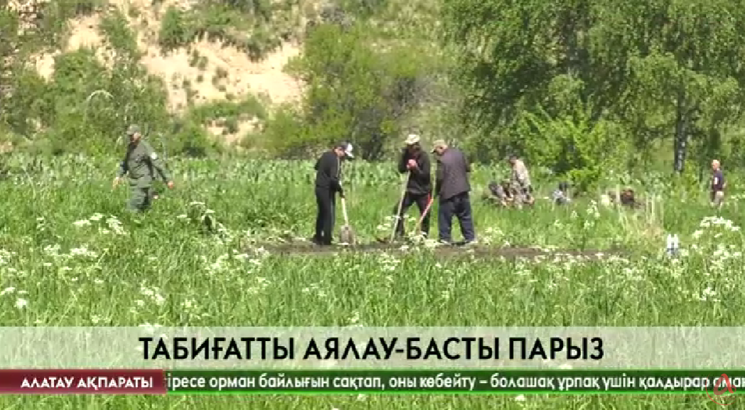 Алатау ақпараты