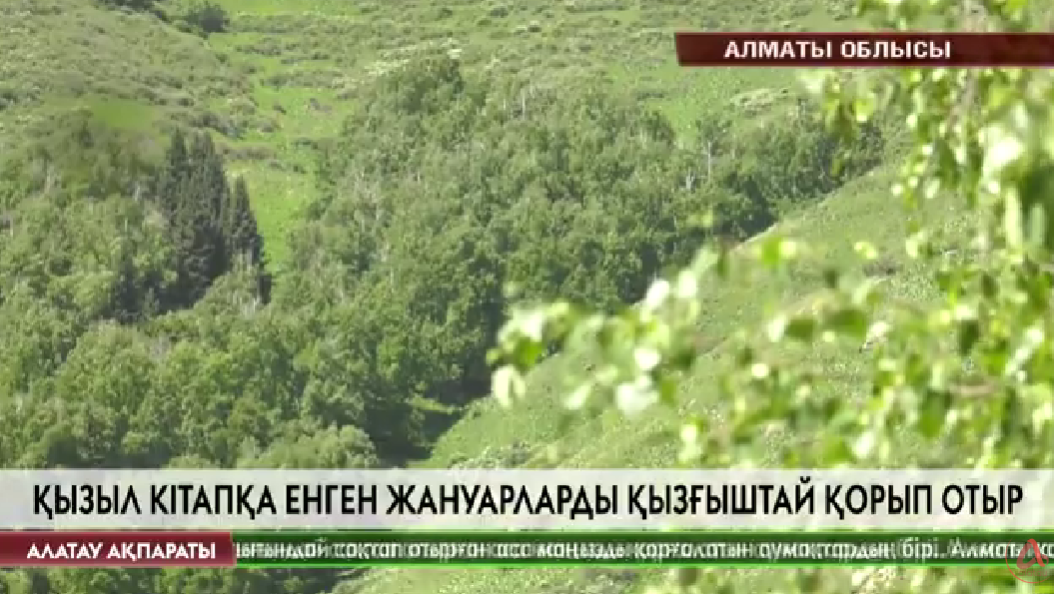 Алатау ақпараты