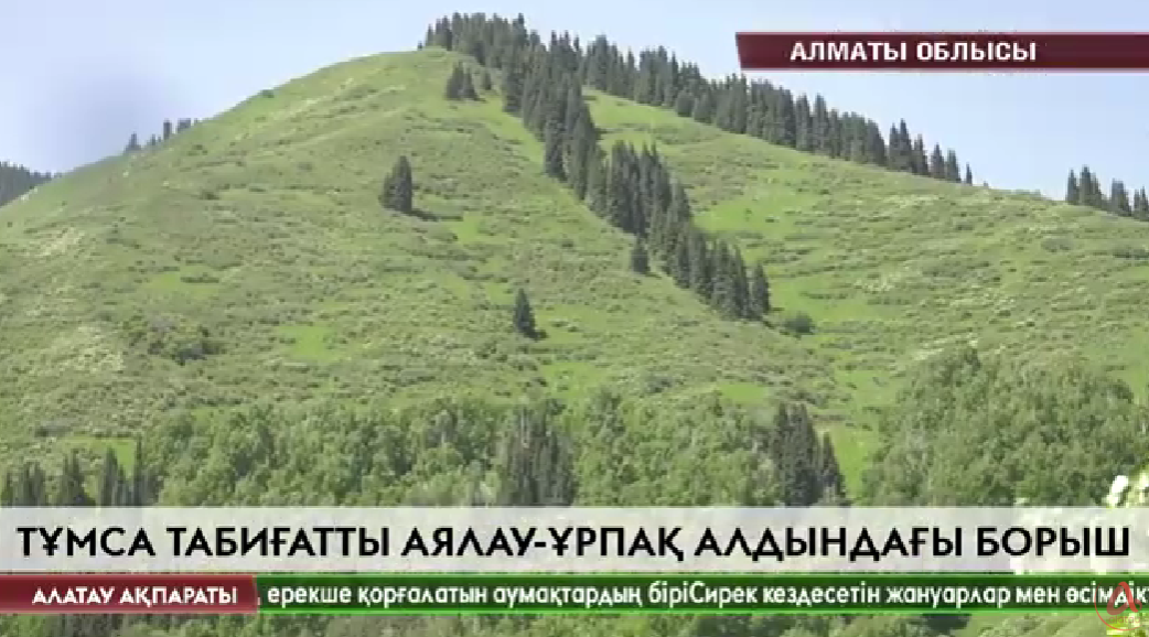 Алатау ақпараты
