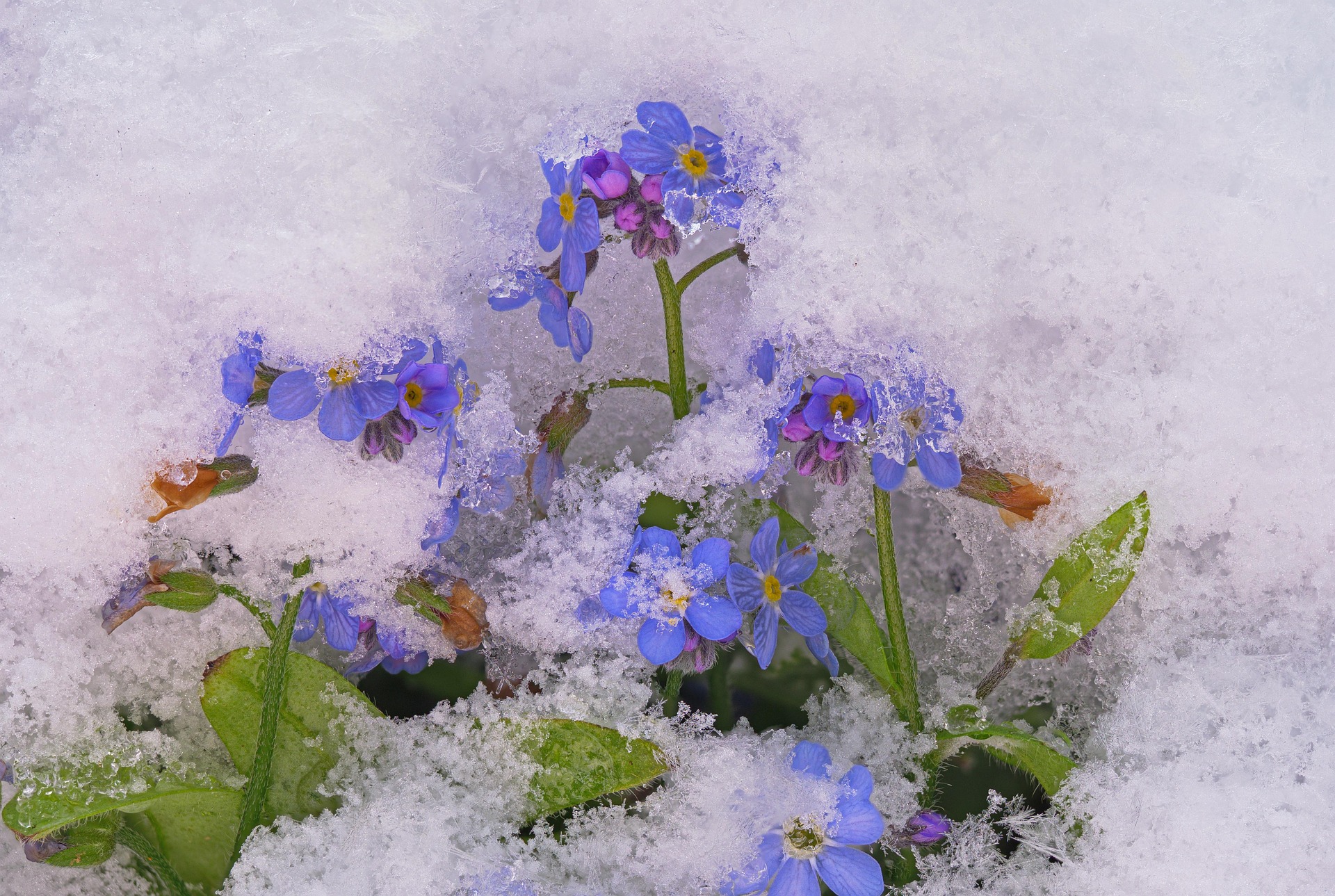 жаңалықтар