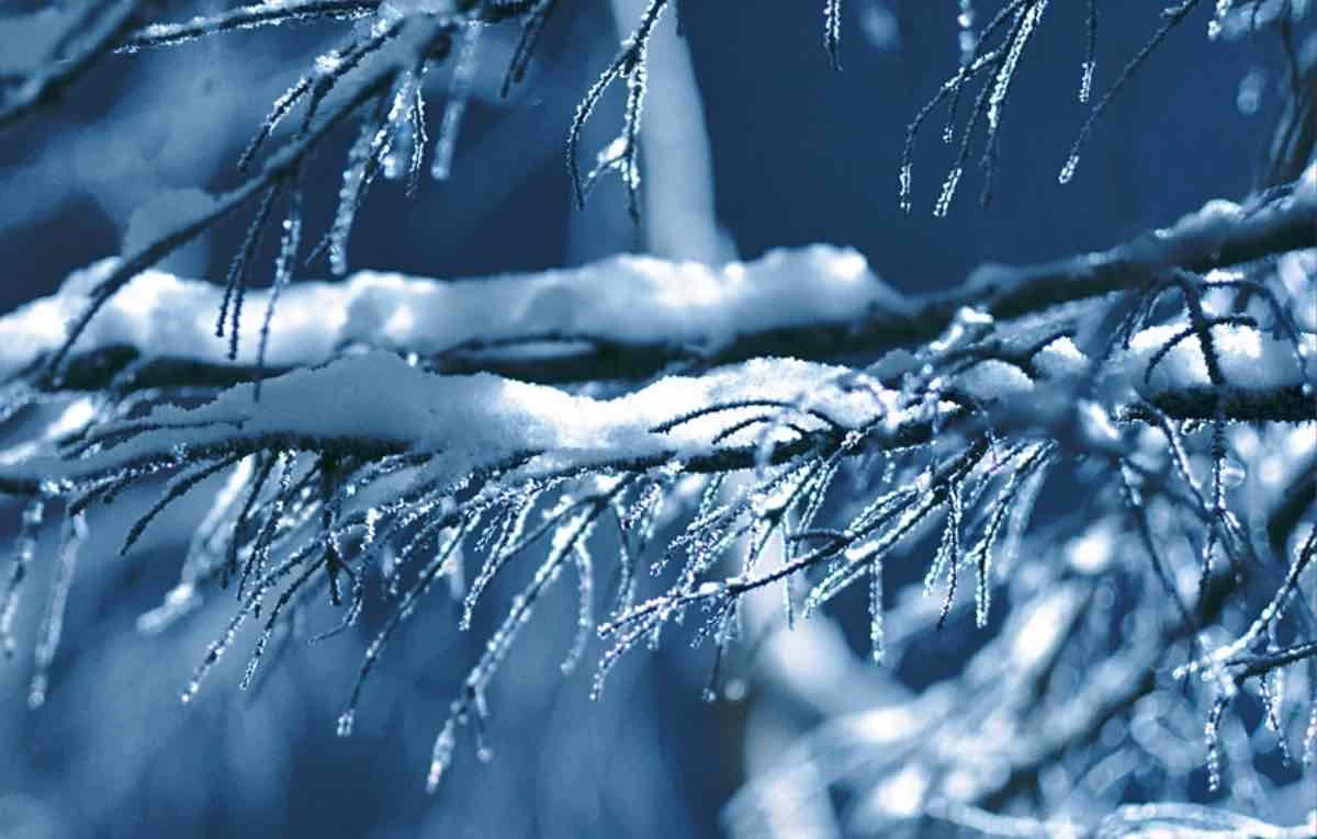 жаңалықтар