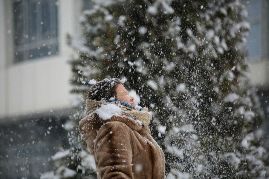 Жаңалықтар